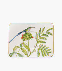Amazonia Saucer Coffee Cup 17x14cm