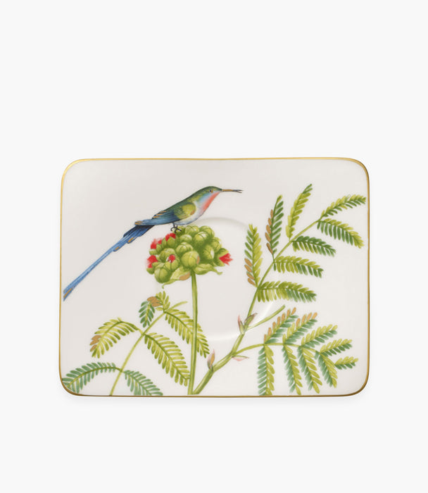 Amazonia Saucer Coffee Cup 17x14cm