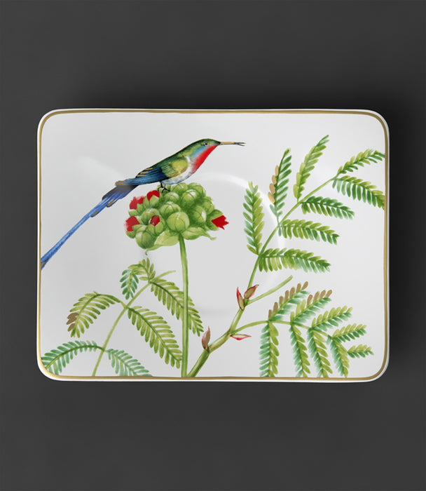 Amazonia Saucer Coffee Cup 17x14cm