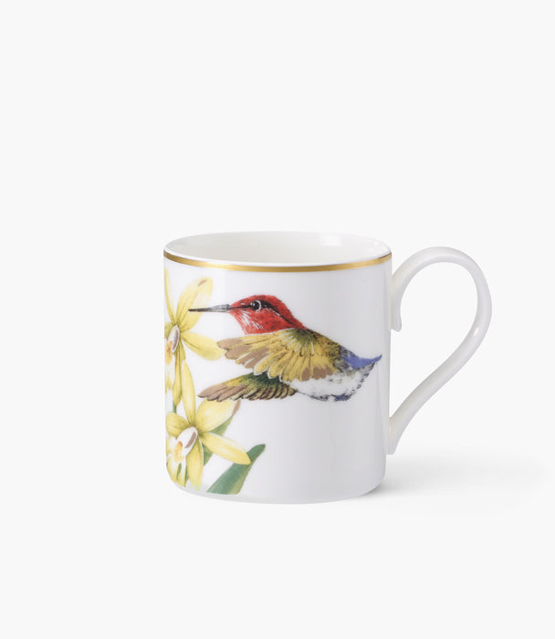 Amazonia Espresso Cup 0.08L