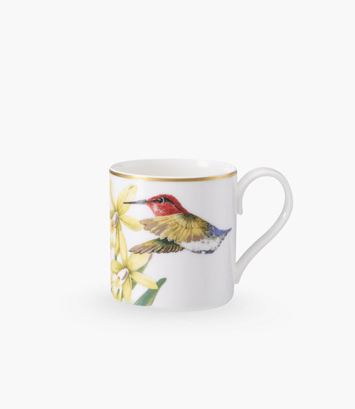 Amazonia Espresso Cup 0.08L - Roomours