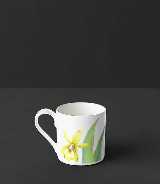Amazonia Espresso Cup 0.08L - Roomours