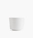 Intaglio Teacup and Saucer - Roomours