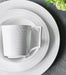 Intaglio Teacup and Saucer - Roomours