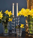 Adria Vase 25cm - Roomours
