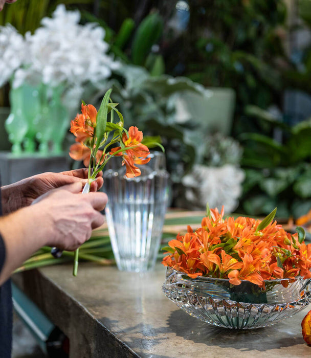 Oceania Centerpiece - Roomours