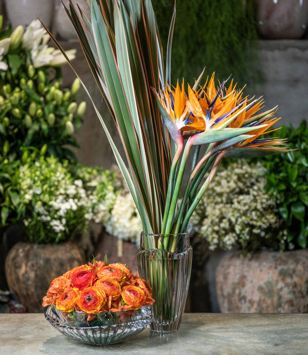 Oceania Centerpiece 33Cm