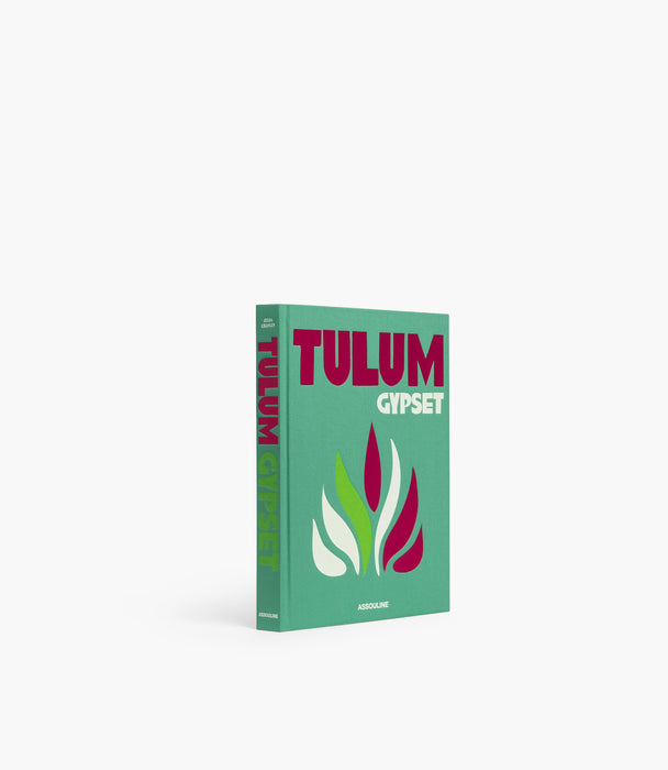 كتاب ديكور سلسلة السفر بعنوان: تولوم جيبسيت