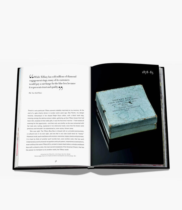 Tiffany & Co Vision & Virtuosity - Roomours
