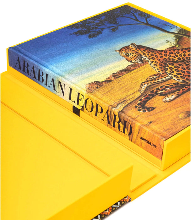 Arabian Leopard (Ultimate) - Roomours