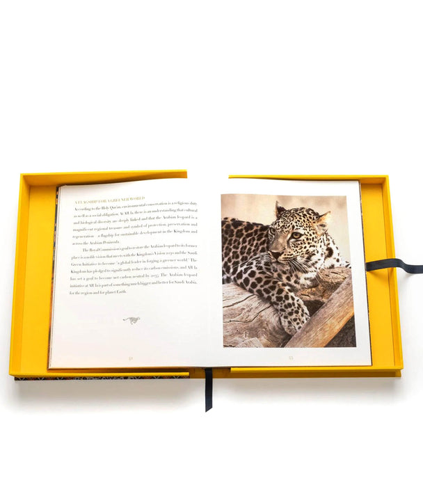 Arabian Leopard (Ultimate) - Roomours