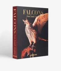 Falcons From Saudi Arabia - Roomours