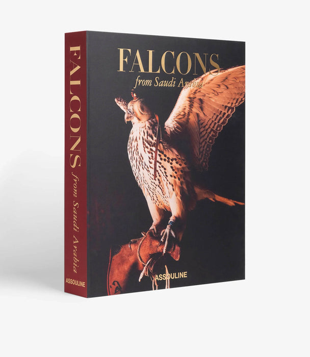 Falcons From Saudi Arabia - Roomours