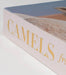 Camels From Saudi Arabia - Roomours