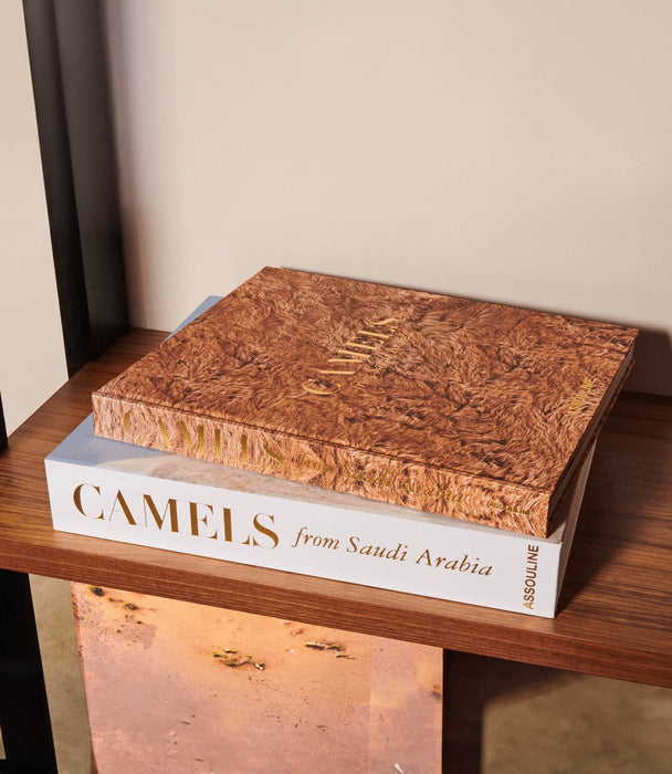 Camels From Saudi Arabia - Roomours