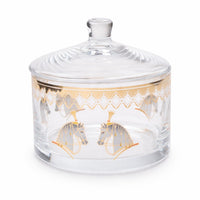 Pferd Amber Small Candy box with cover 13cm