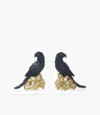 حاجزة كتب تكستشرد تريجرز ريزن سوداء بشكل ببغاء - عدد 2