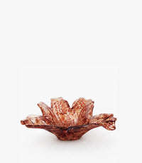 Bourgogna Ct Root Ø49 Bourgogne Gold Transparent