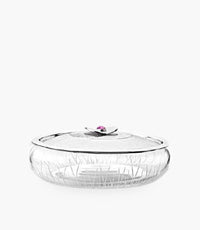 وعاء دائري بيترا كريستالي شفاف مع غطاء