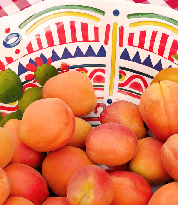 وعاء دولتشي فيتا بورسلين ملون برسمة رمان وليمون