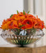 Oceania Footed Cake Stand & Vase – 2-Piece Set 33x33cm - Roomours